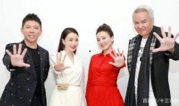 爆料张庭夫妇视频大全下载,揭秘明星夫妻幕后生活